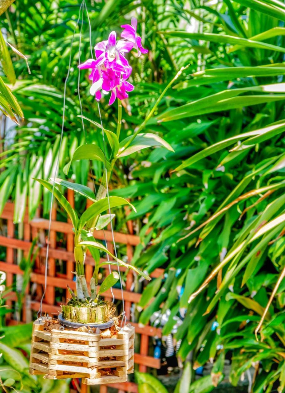 Kata Leaf Resort Phuket - 외부 사진